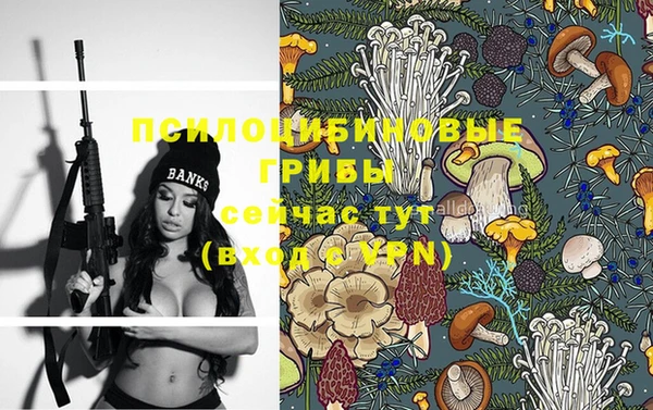 синтетический гашиш Киреевск