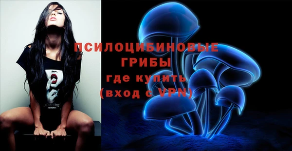 прущие крисы Киренск