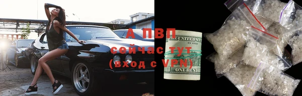 прущие крисы Киренск