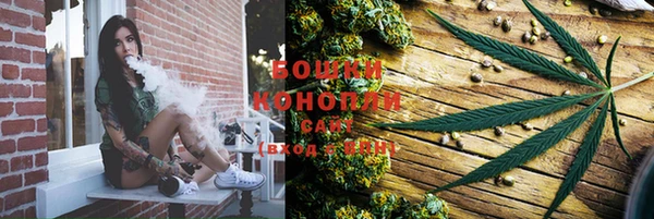 таблы Козельск