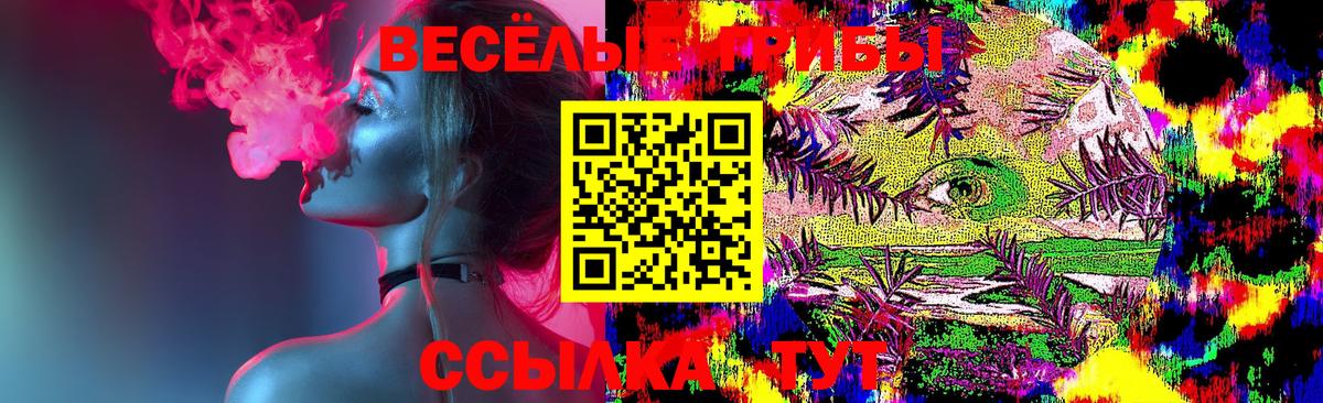 Коммунар  Галлюциногенные грибы Cubensis  Вход с VPN  Галлюциногенные грибы Cubensis 