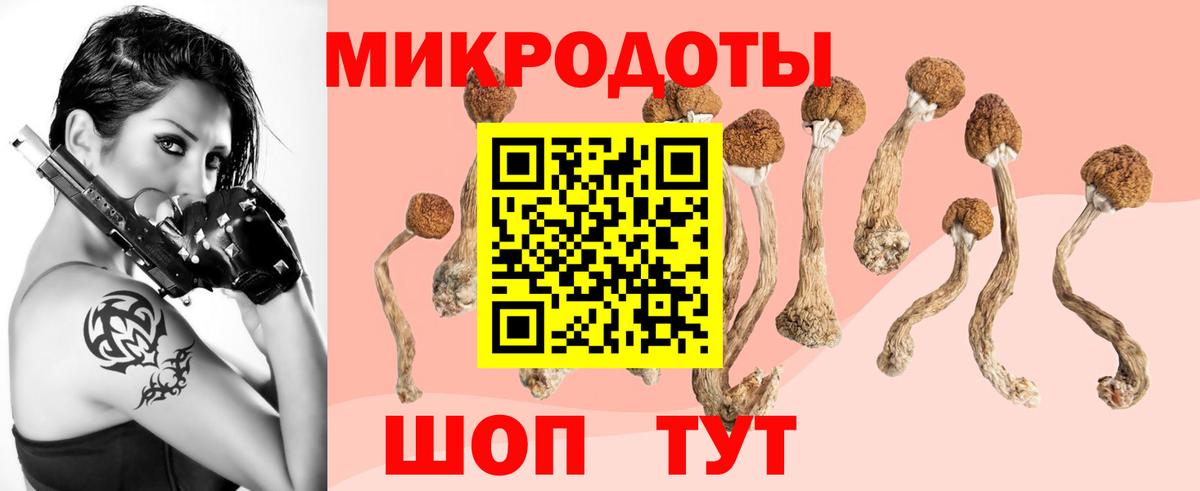 Псилоцибиновые грибы MAGIC MUSHROOMS Коммунар