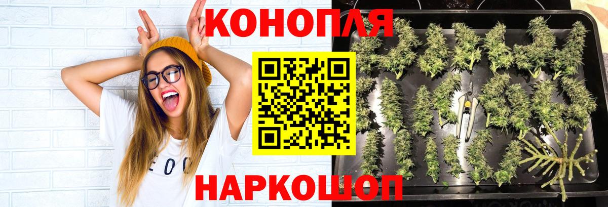 Шишки марихуана Amnesia  Вход с VPN  Коммунар  Канабис индика  Каннабис гибрид  Бошки Шишки ГИДРОПОН 